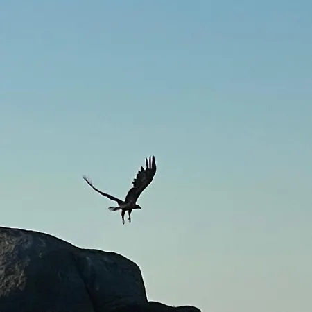 Lofoten_beach_eggum_cabin Eggum